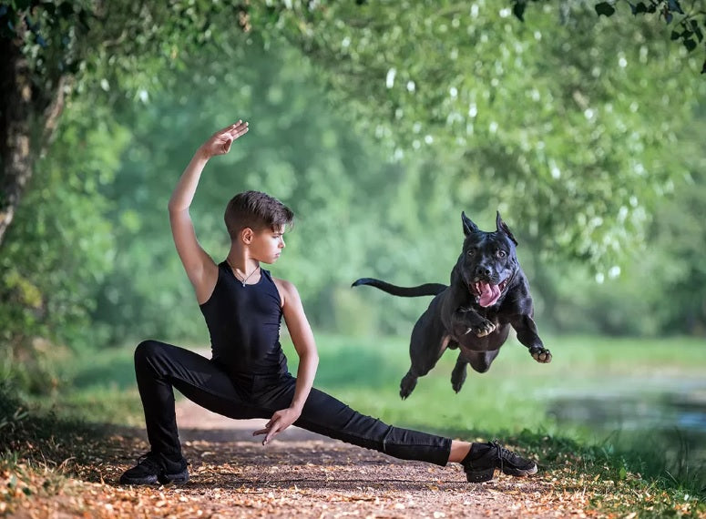 Le Dog Dancing ou Obé-Rythmée