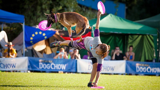 Le Frisbee ou Flying Disc