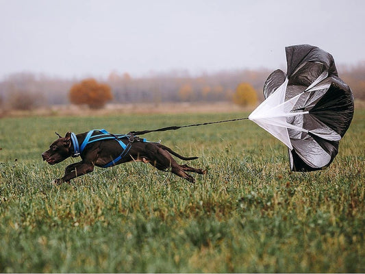 Le Parachute de Résistance