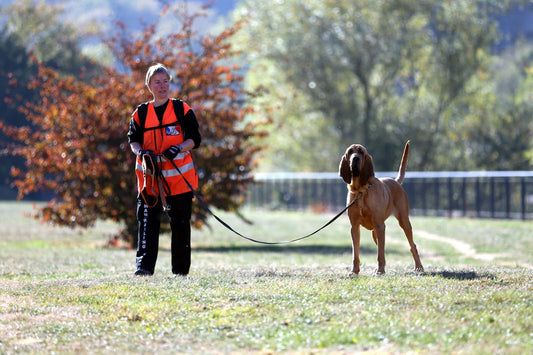 La Recherche Utilitaire (ou Mantrailing)