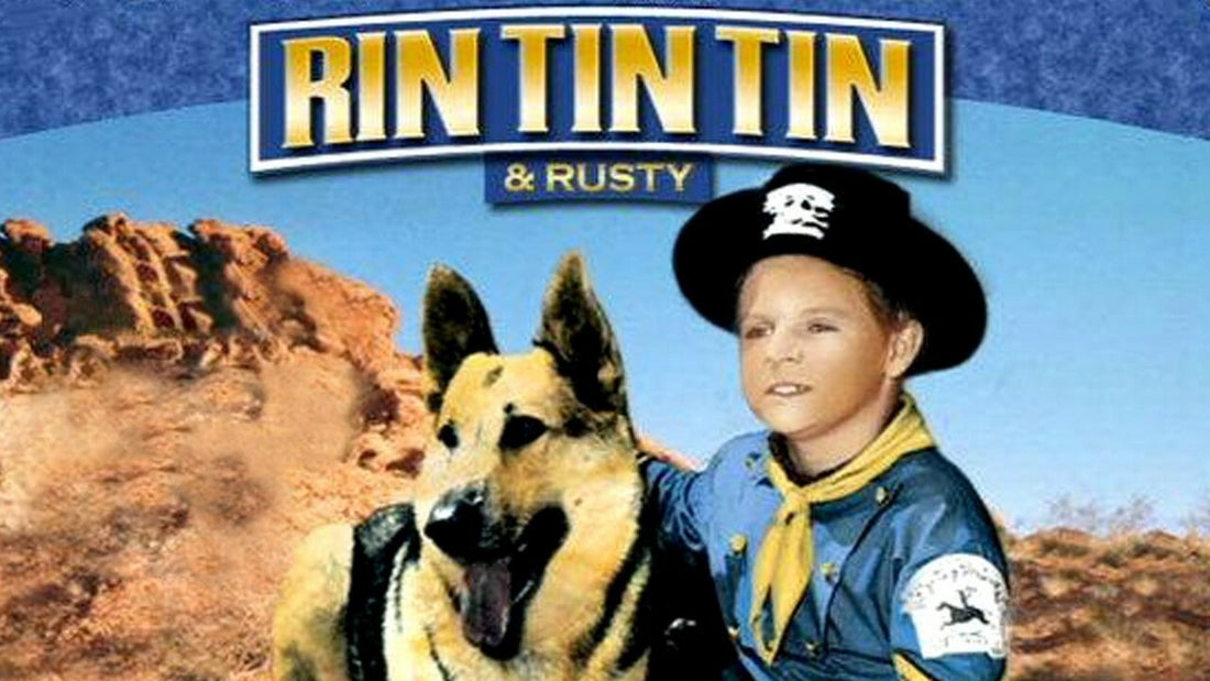 Chien Célèbre : Rin Tin Tin, le Berger Allemand qui a conquis Hollywood