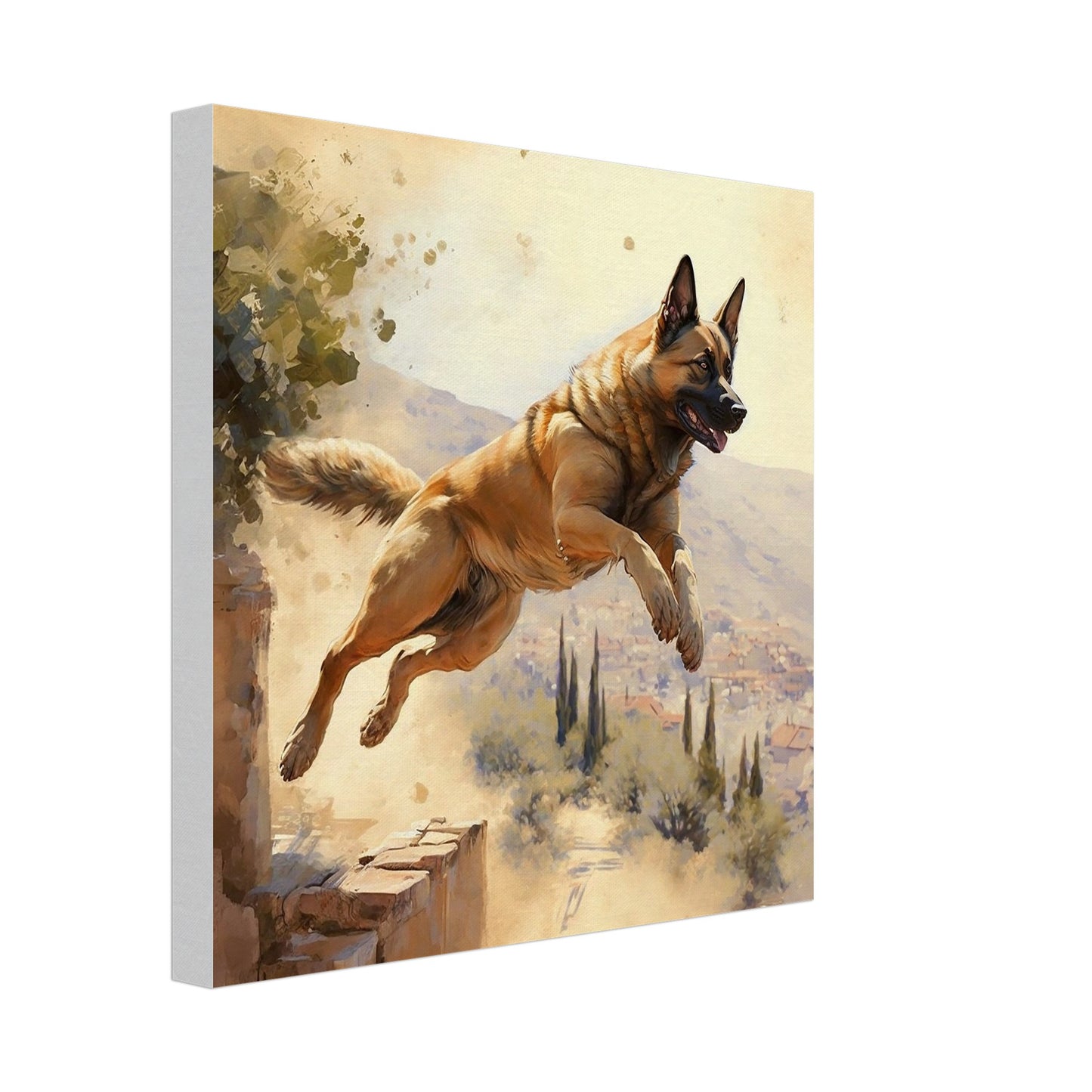 Toile 30 X 30 cm - Malinois #1