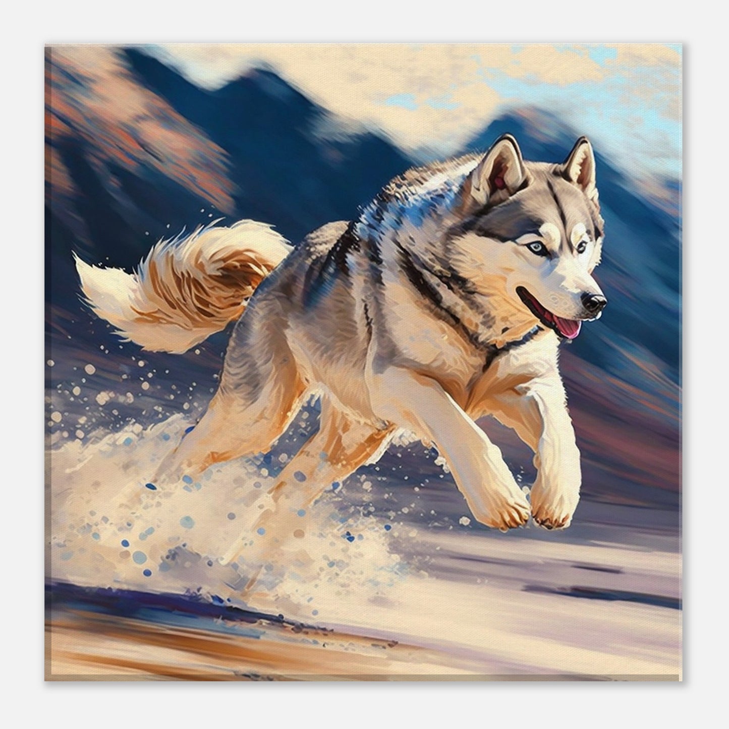 Toile 30 X 30 cm - Husky #4