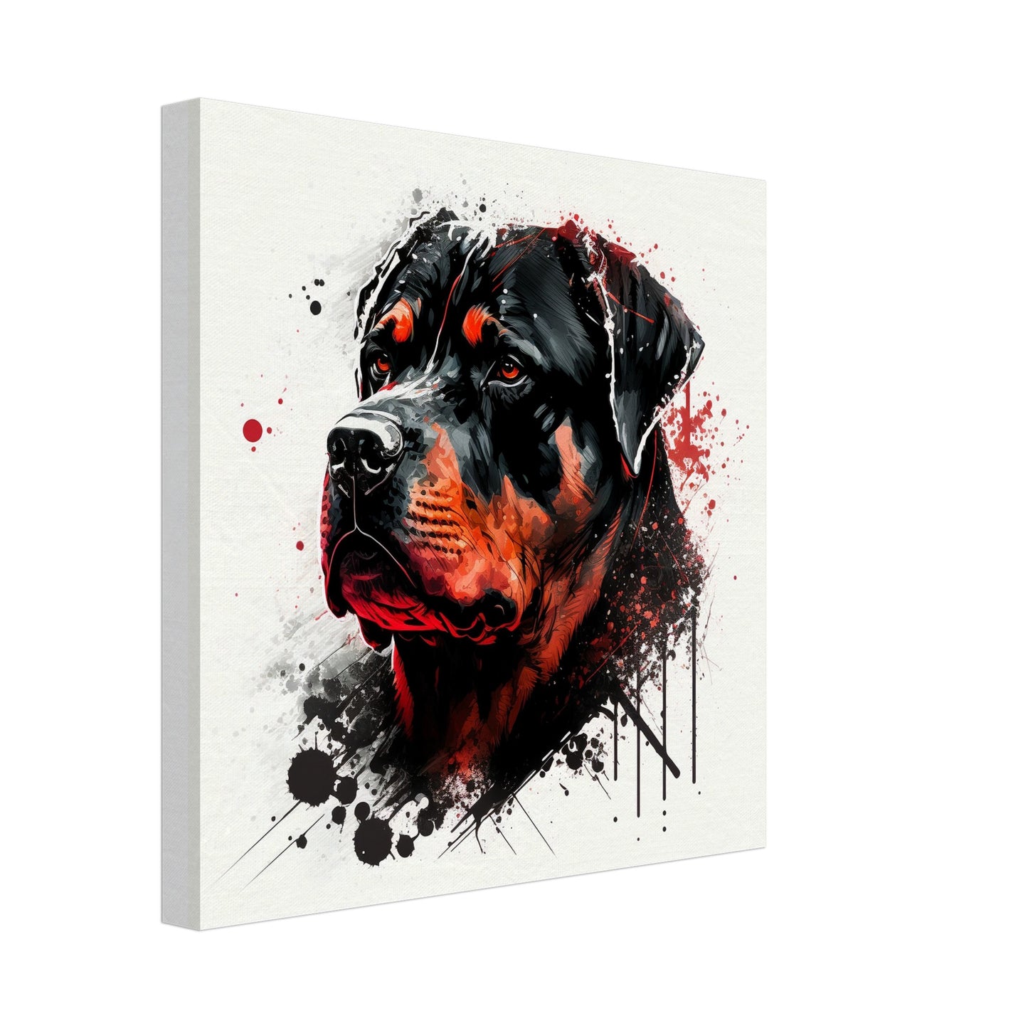 Toile 30 X 30 cm - Rottweiler #1