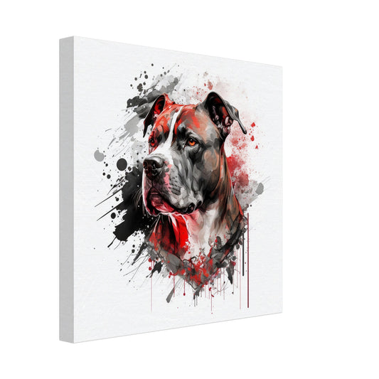 Toile 30 X 30 cm - American Staffordshire Terrier #1