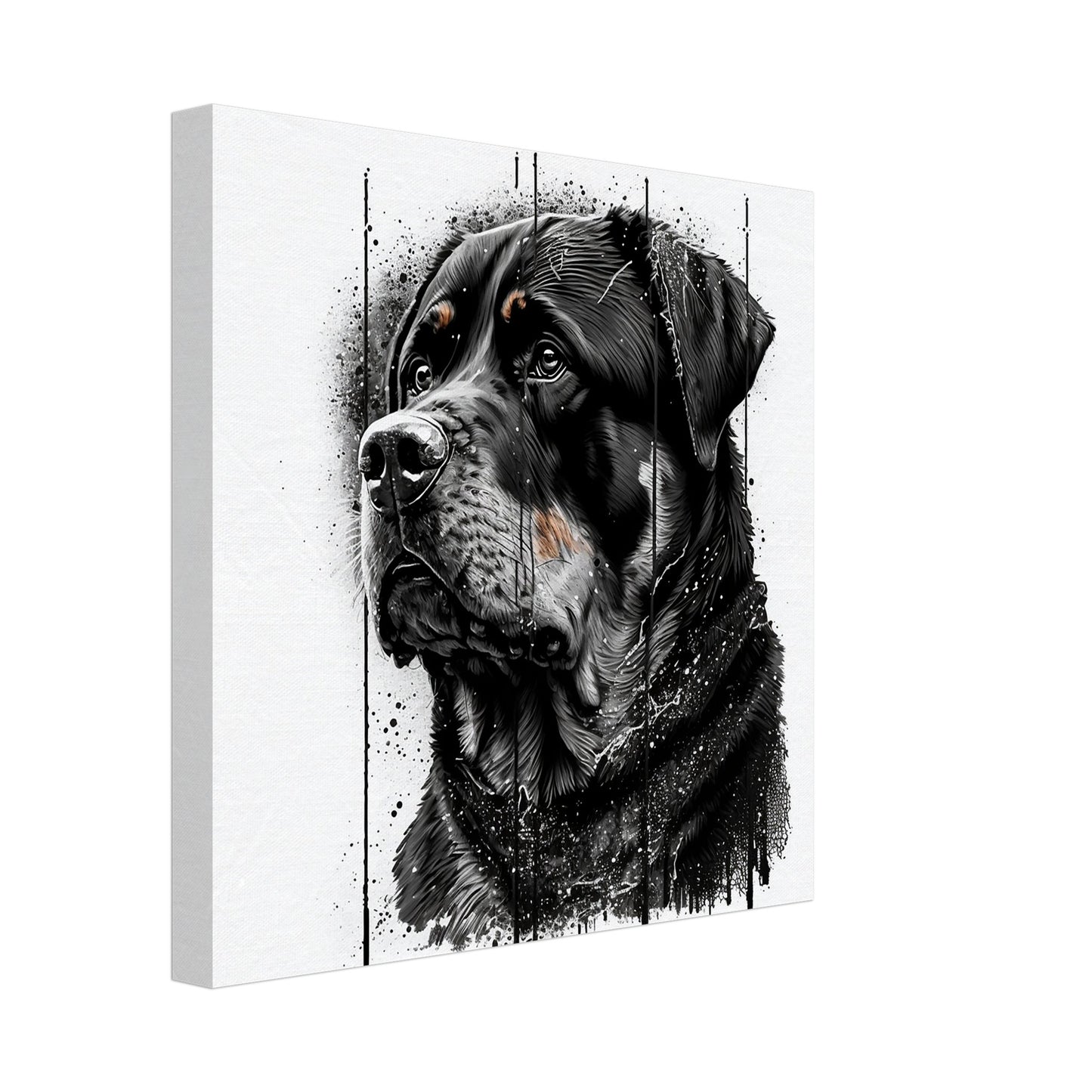 Toile 30 X 30 cm - Rottweiler #4