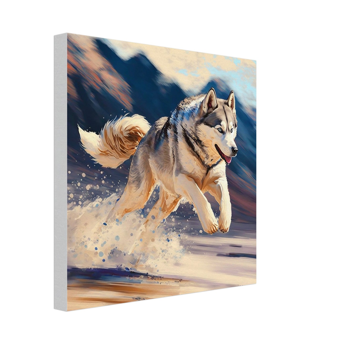 Toile 30 X 30 cm - Husky #4