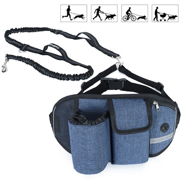 Ceinture + Laisse Amortisseur pour Cani-Running