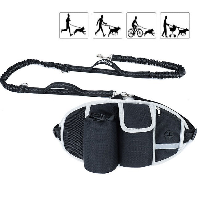 Ceinture + Laisse Amortisseur pour Cani-Running