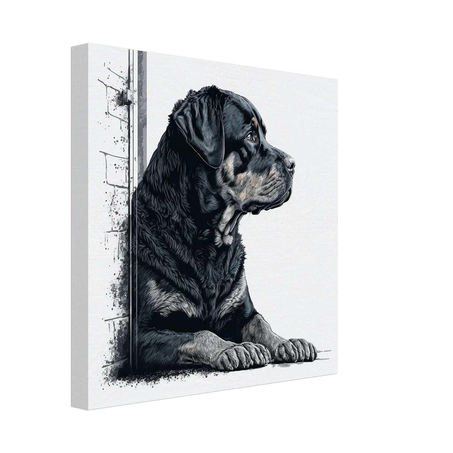 Toile 30 X 30 cm - Rottweiler #2