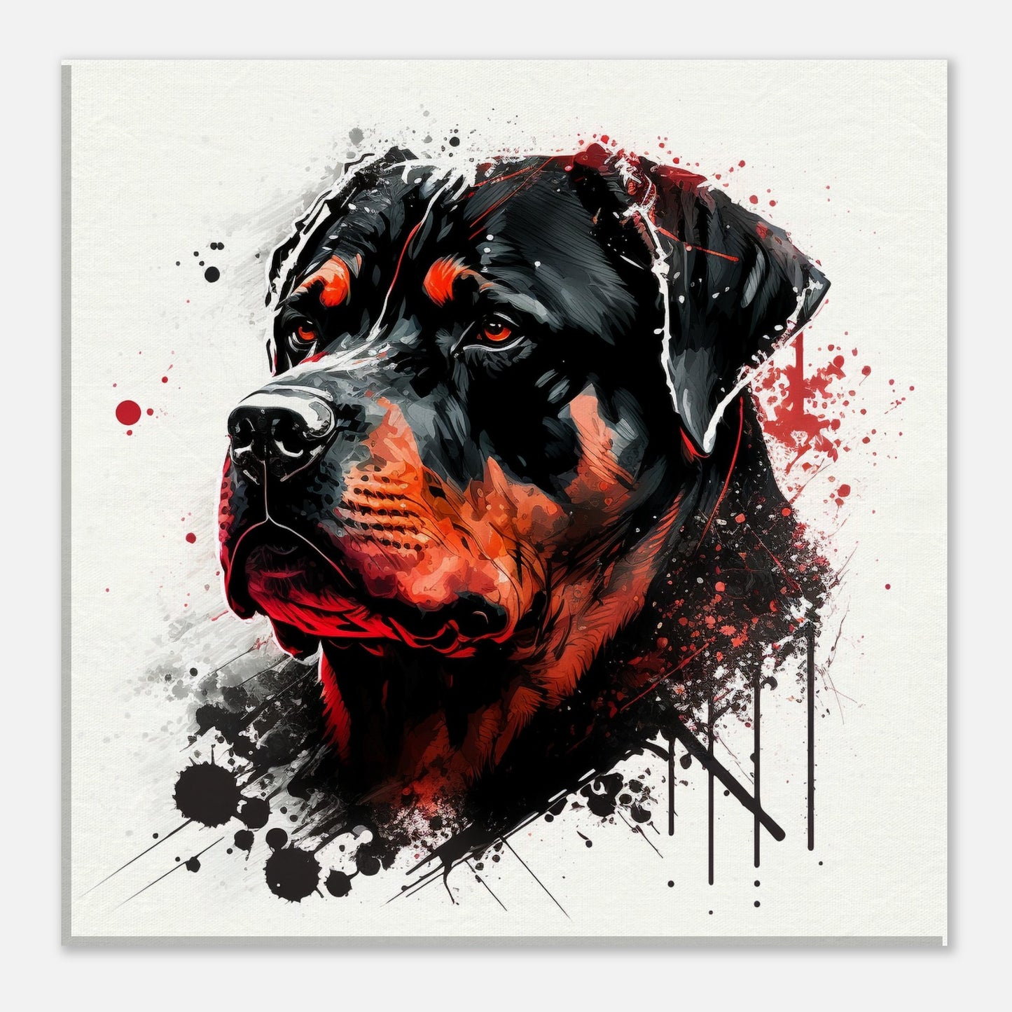 Toile 30 X 30 cm - Rottweiler #1